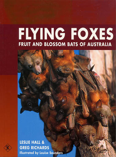 Bats Of Australia